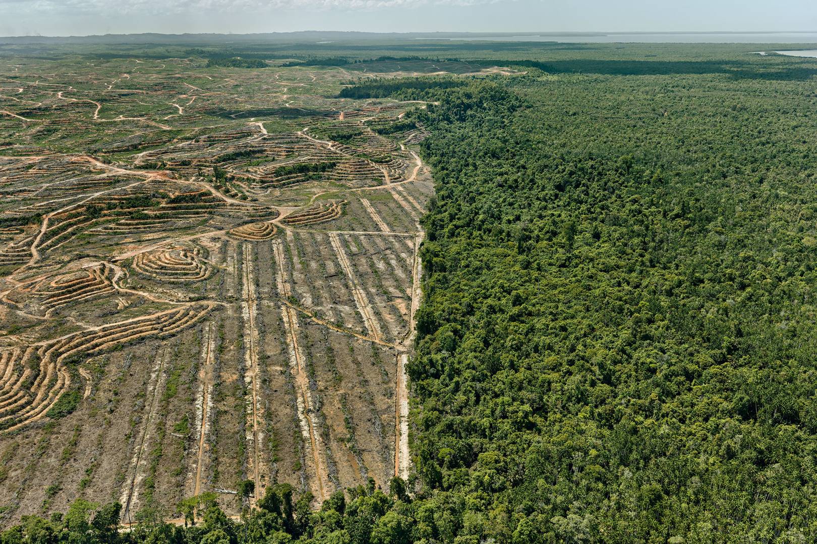 The devastating environmental impact of human progress like you've never seen it before