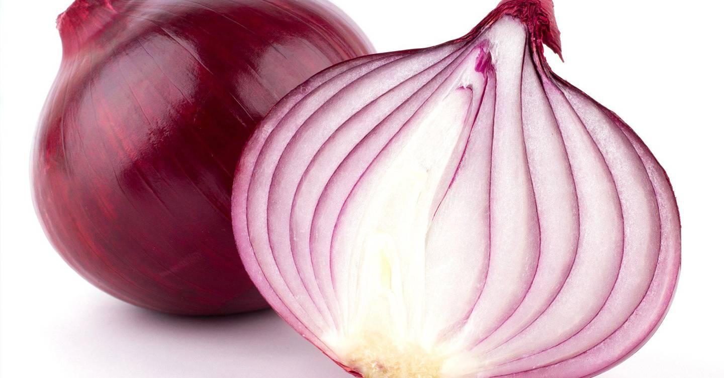 the onion tor
