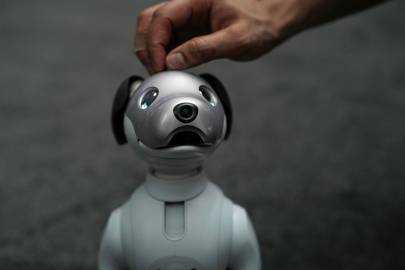 Sony Aibo