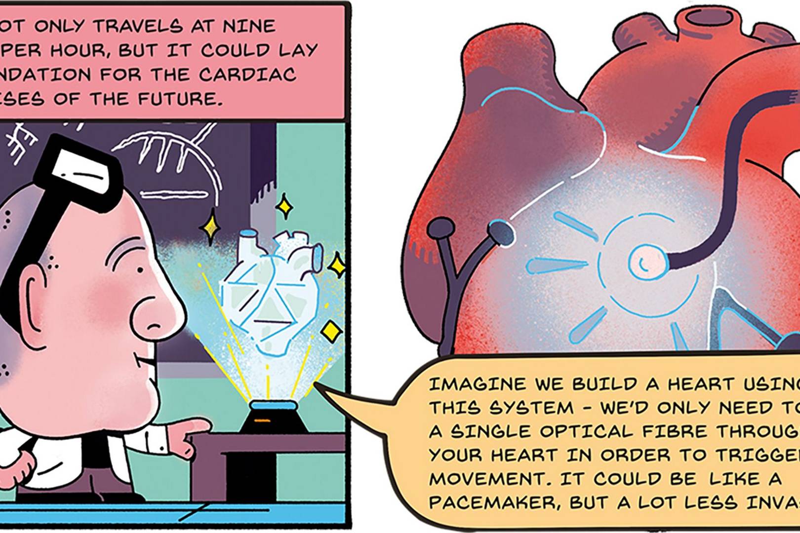 Illustrated experiment: bioengineering's ray of hope