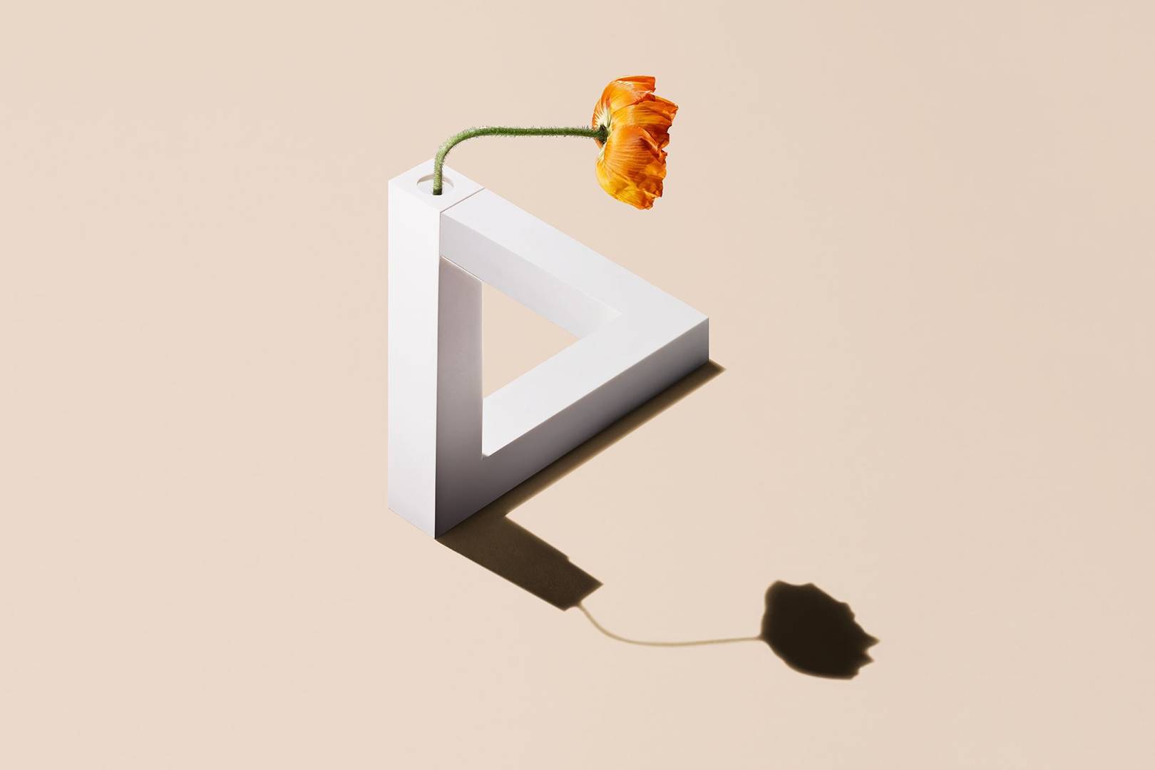 Give your home a maths-inspired makeover with these geometric designs