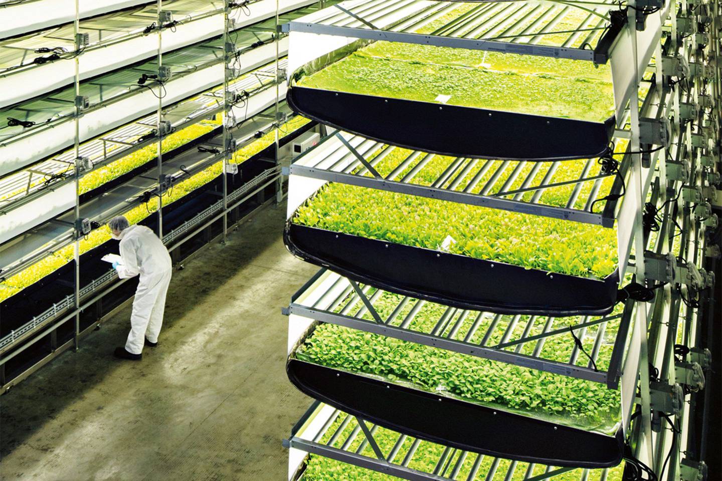 Aerofarm has built the world's largest vertical farm WIRED UK