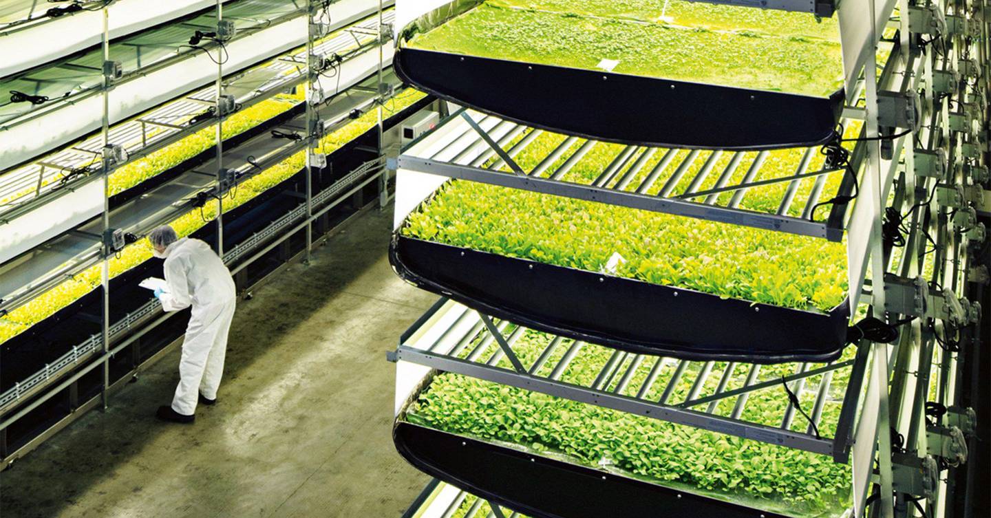 Aerofarm Has Built The Worlds Largest Vertical Farm Wired Uk