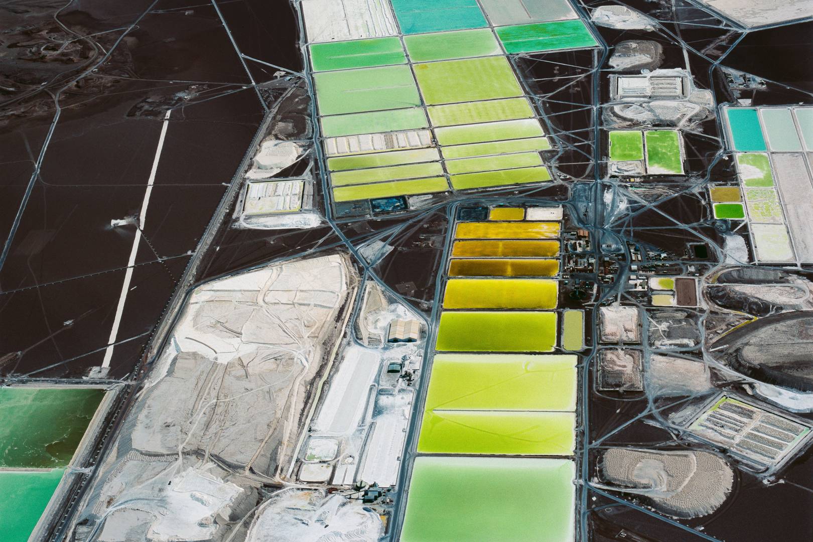 The devastating environmental impact of technological progress