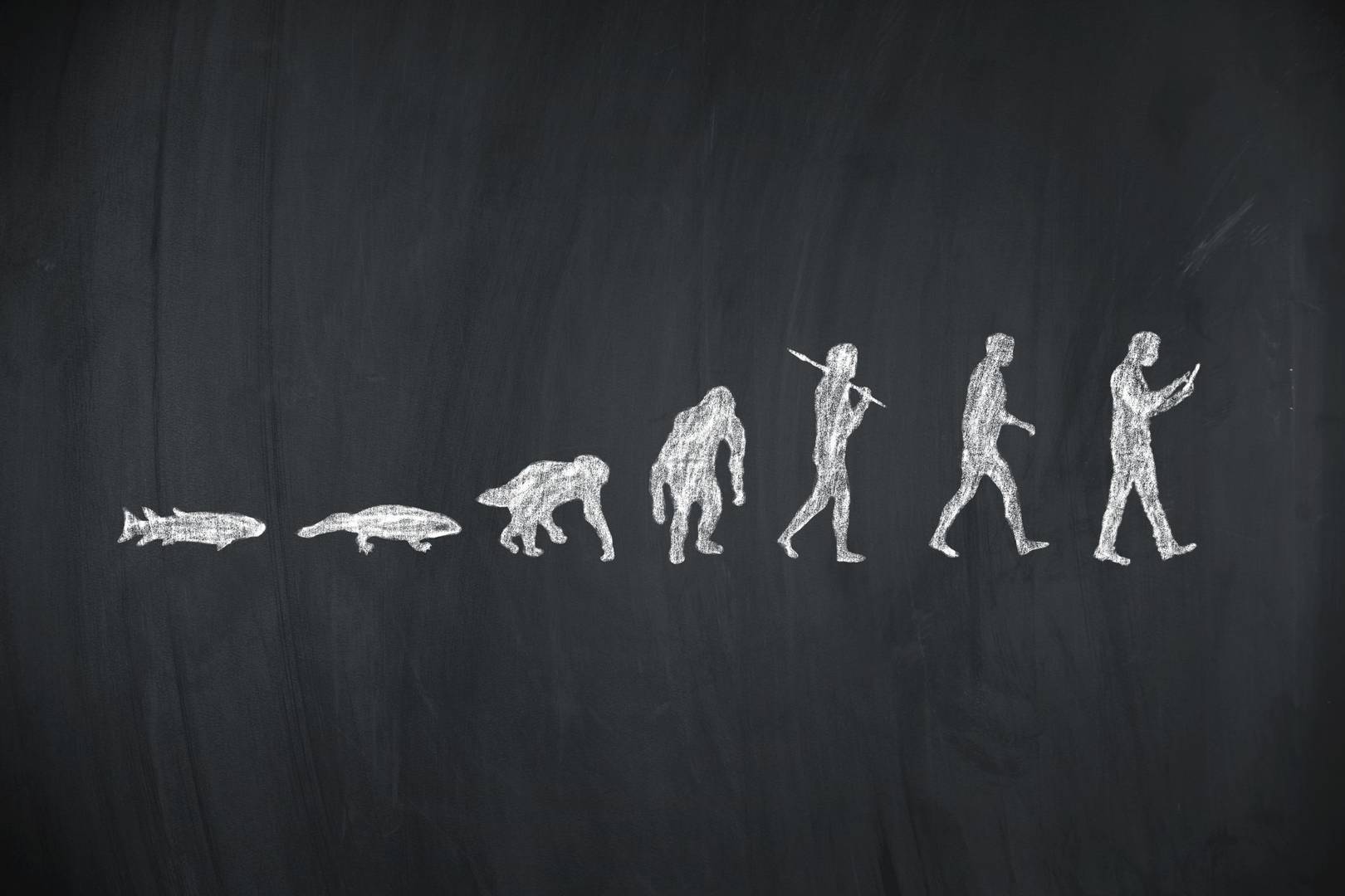 Did autism help drive human evolution?