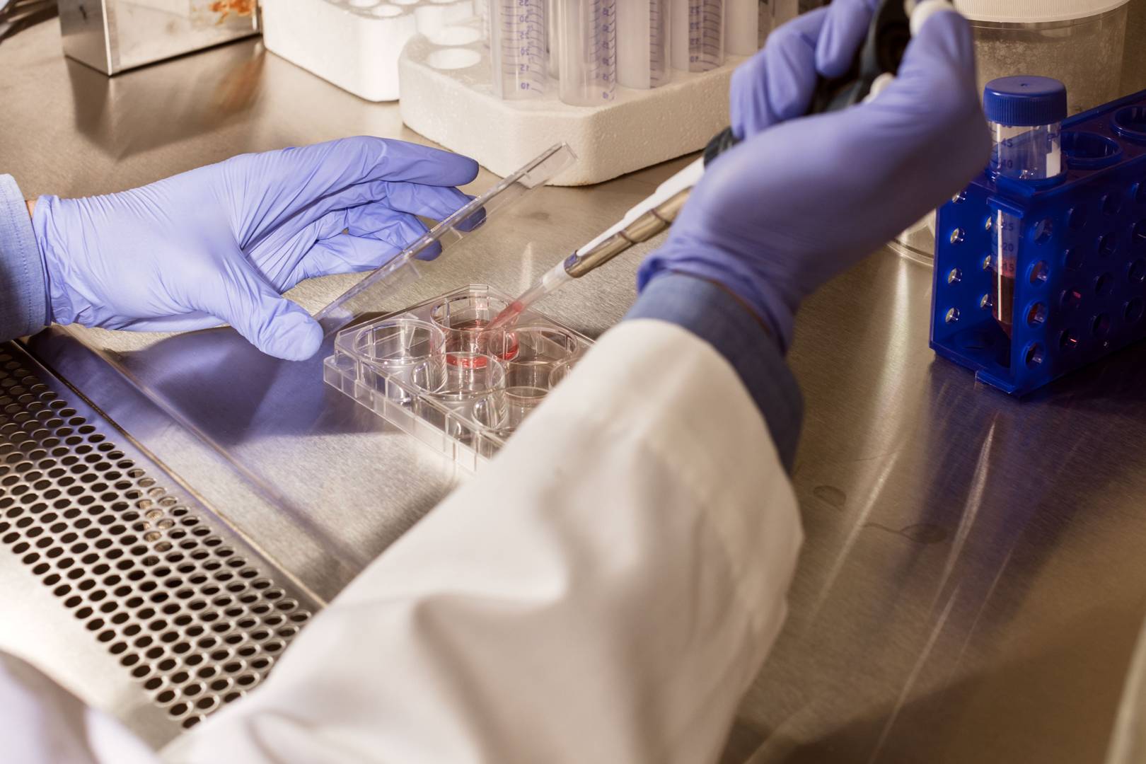 A mysterious death, a genetic clue and the lifelong quest for answers