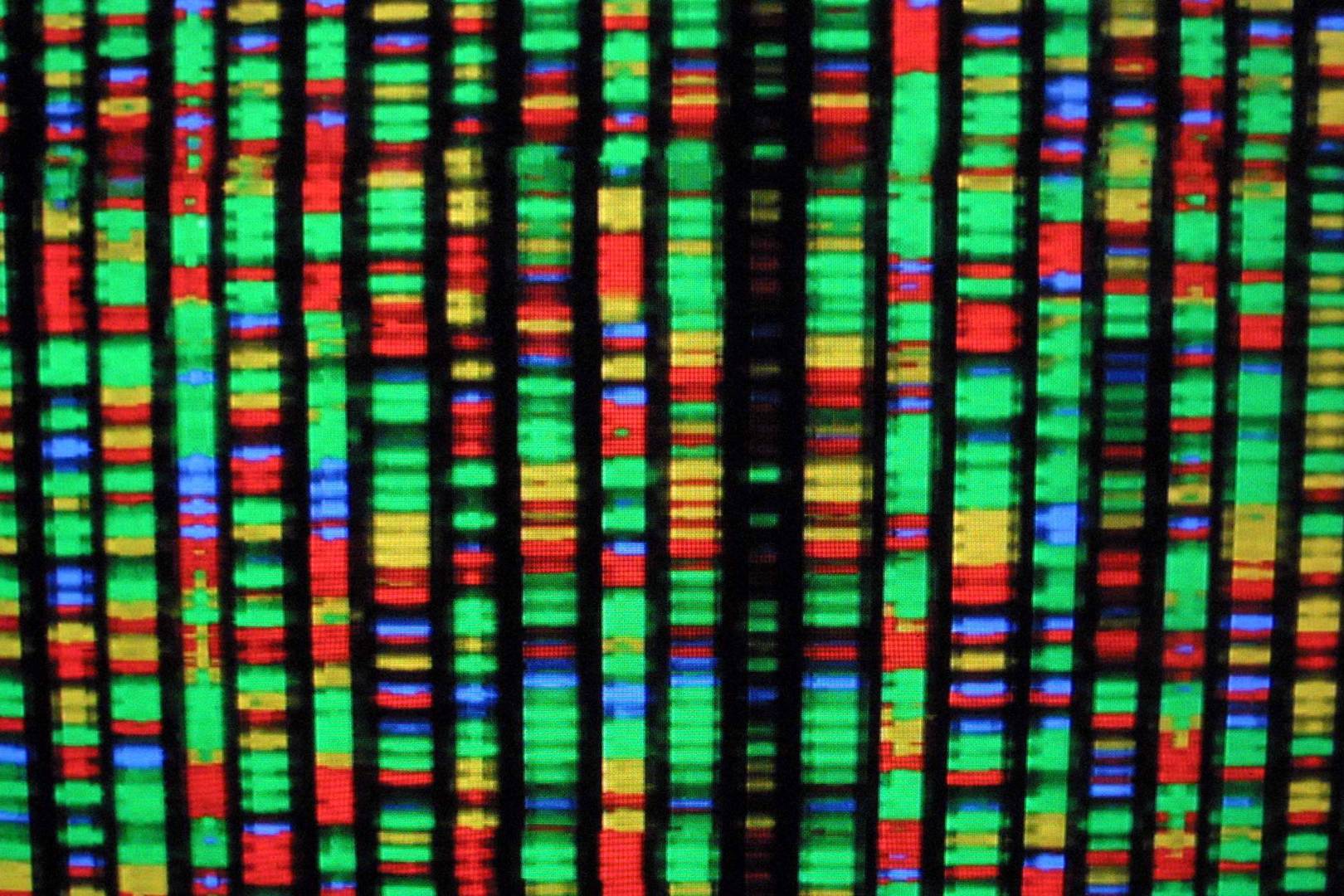 A movie, operating system and Amazon gift card have been stored in DNA