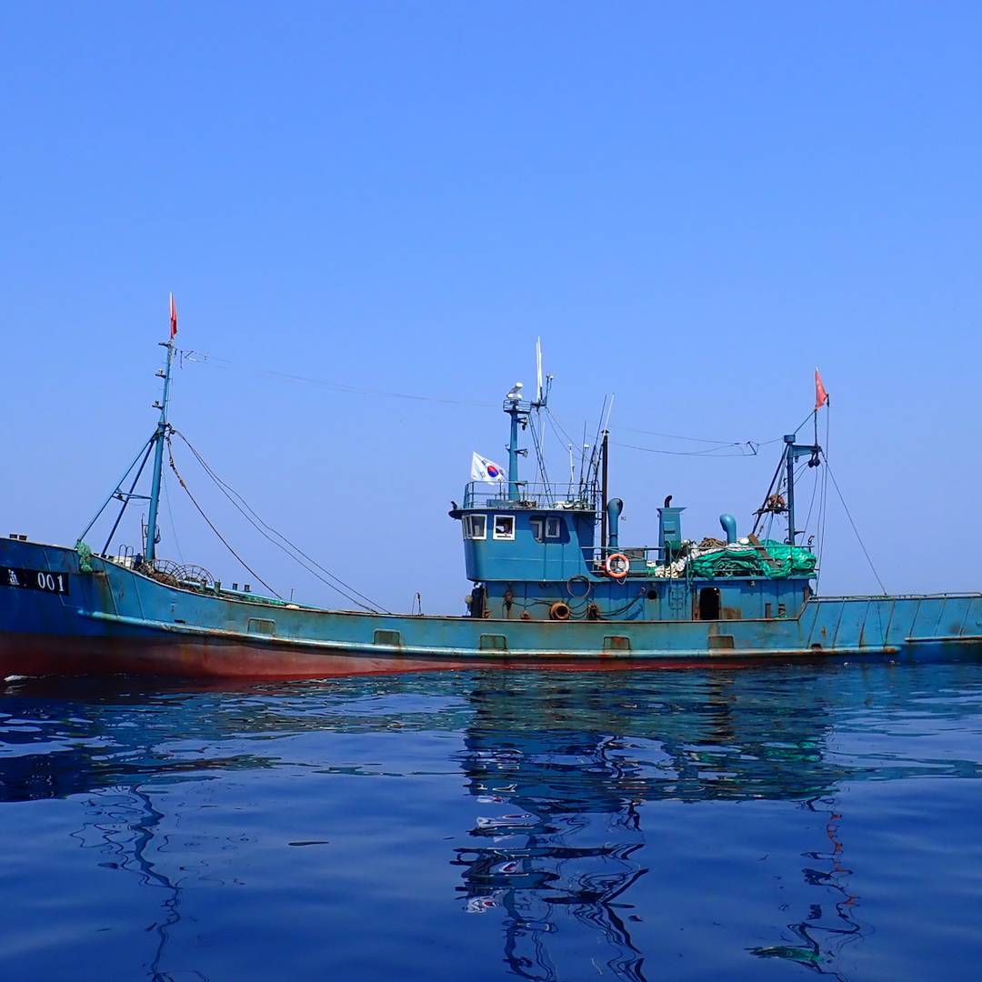 Image: Huge fleets of Chinese boats have been hiding in North Korean waters