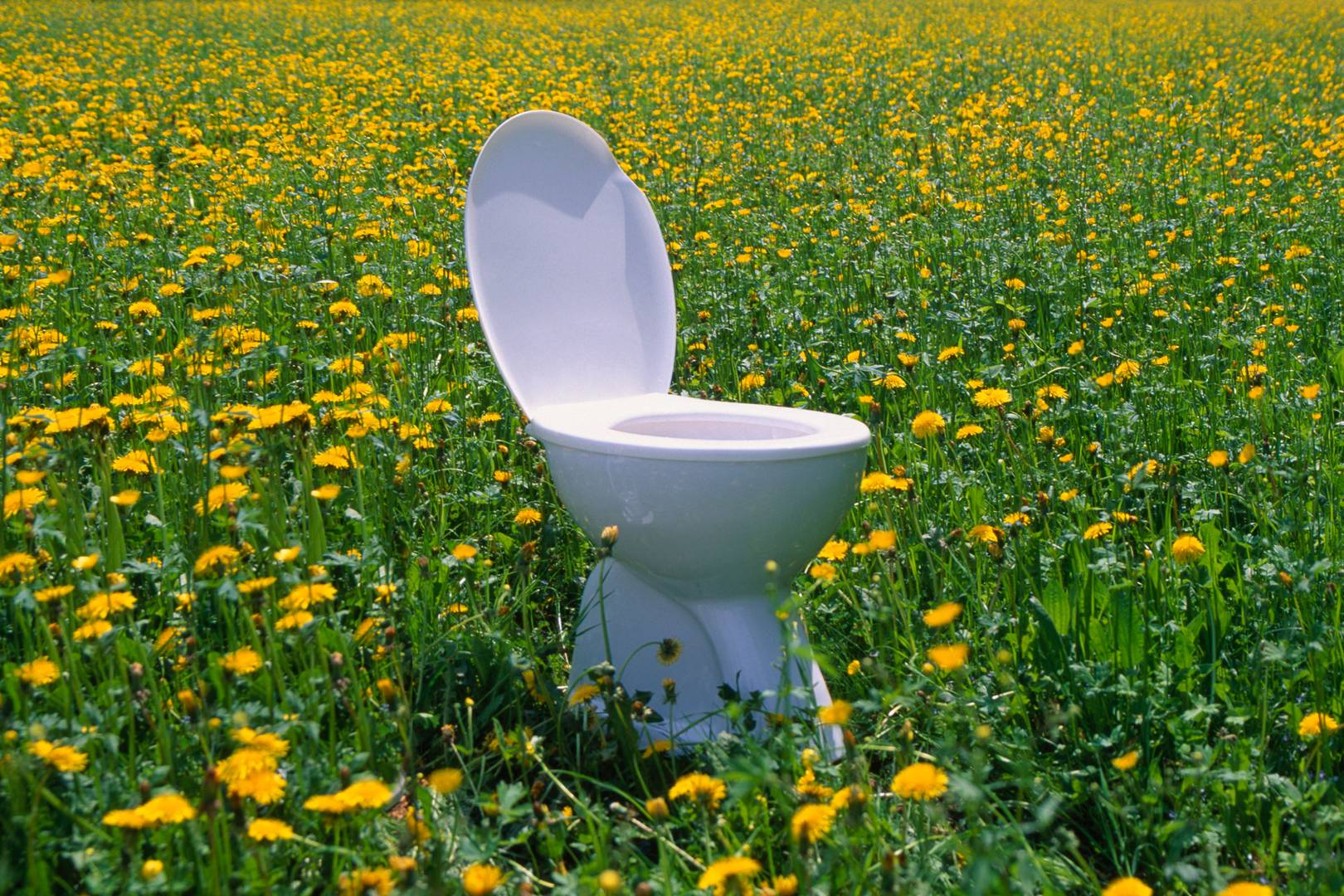 The wild quest to feed the world using your pee