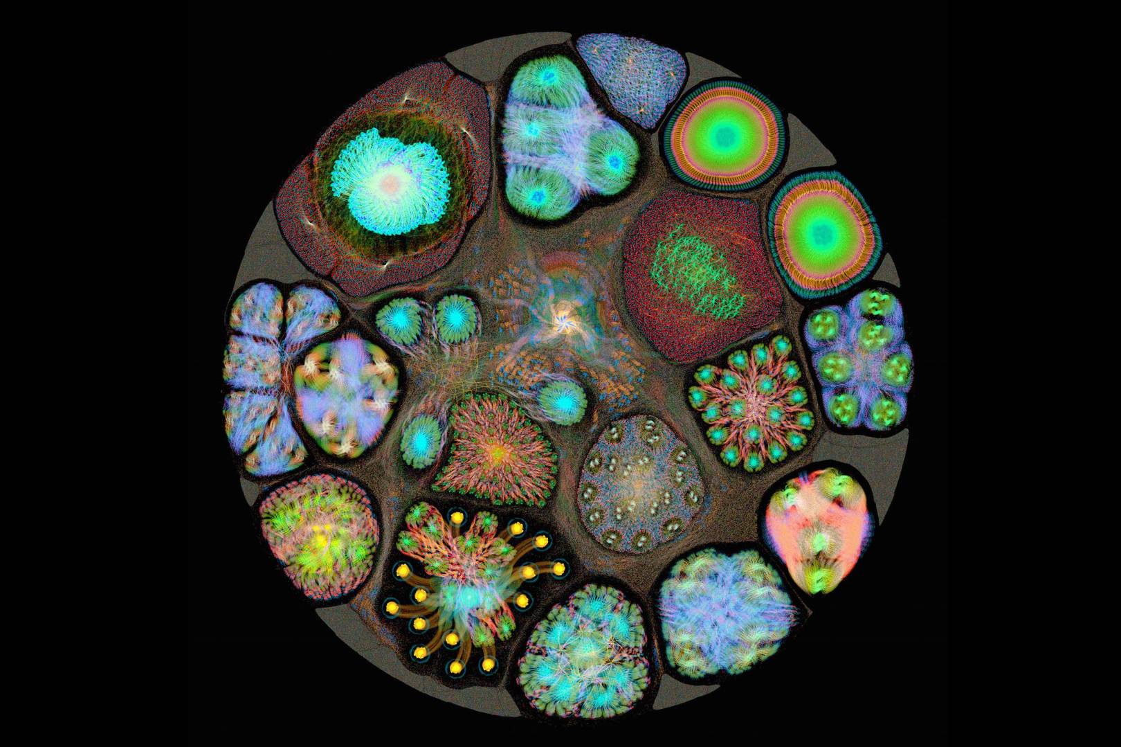 Stunning 'AI brain scans' reveal what machines see as they learn new skills