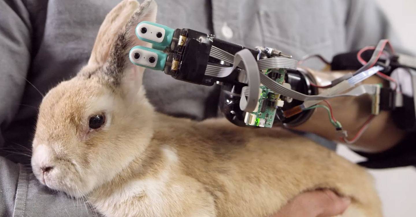 The robotic hand that can touch and feel like human hands | WIRED UK