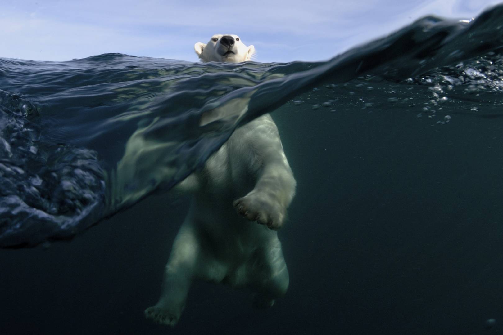Why it's time we all became climate change optimists