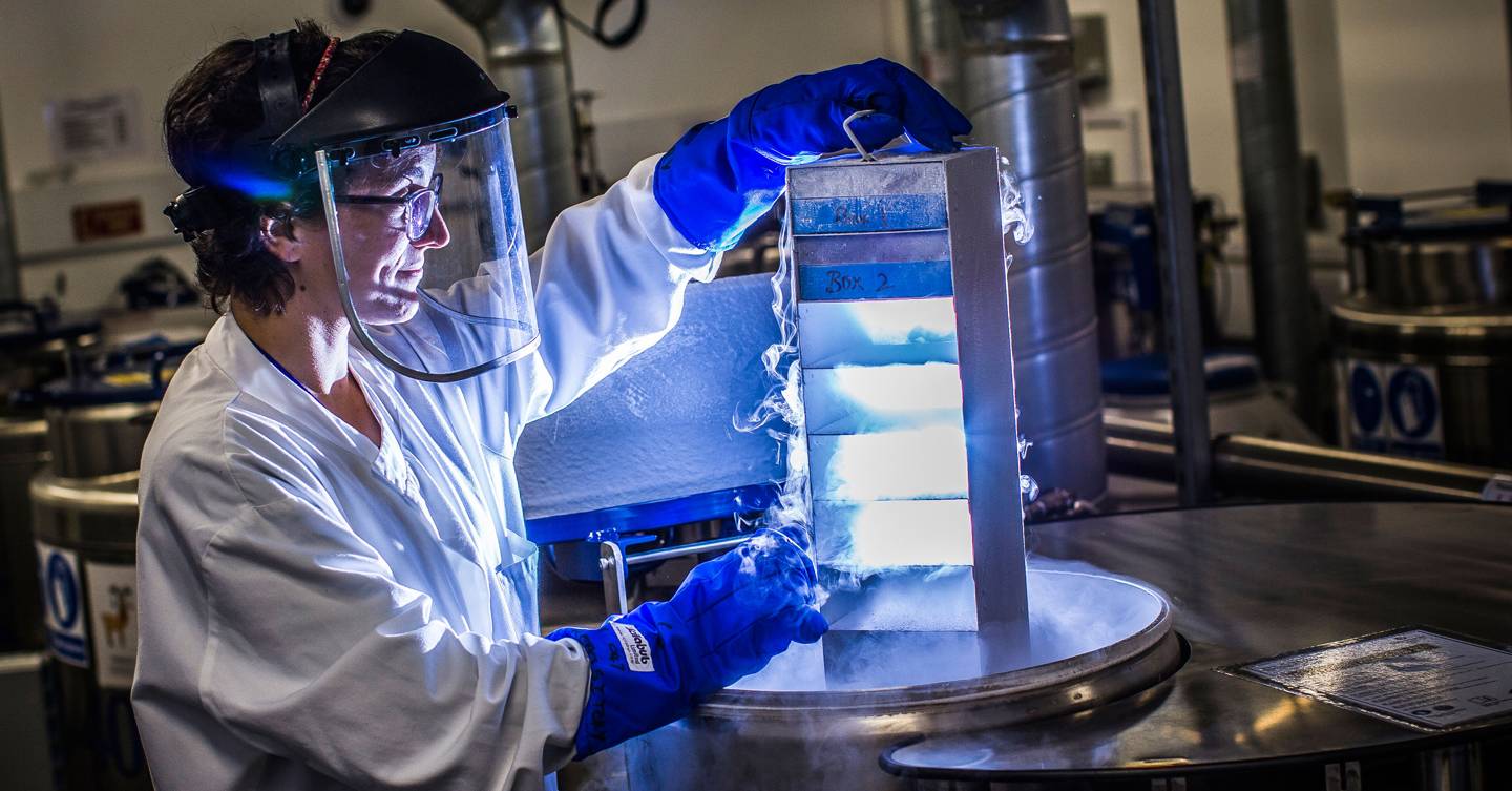 Friday briefing: Women are underrepresented at science's highest levels
