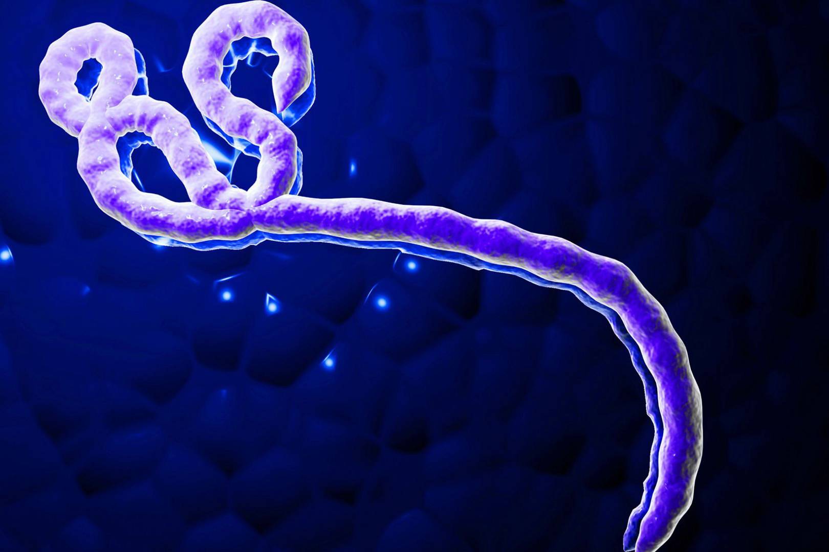 Ebola vaccine gives 100% protection, trial shows