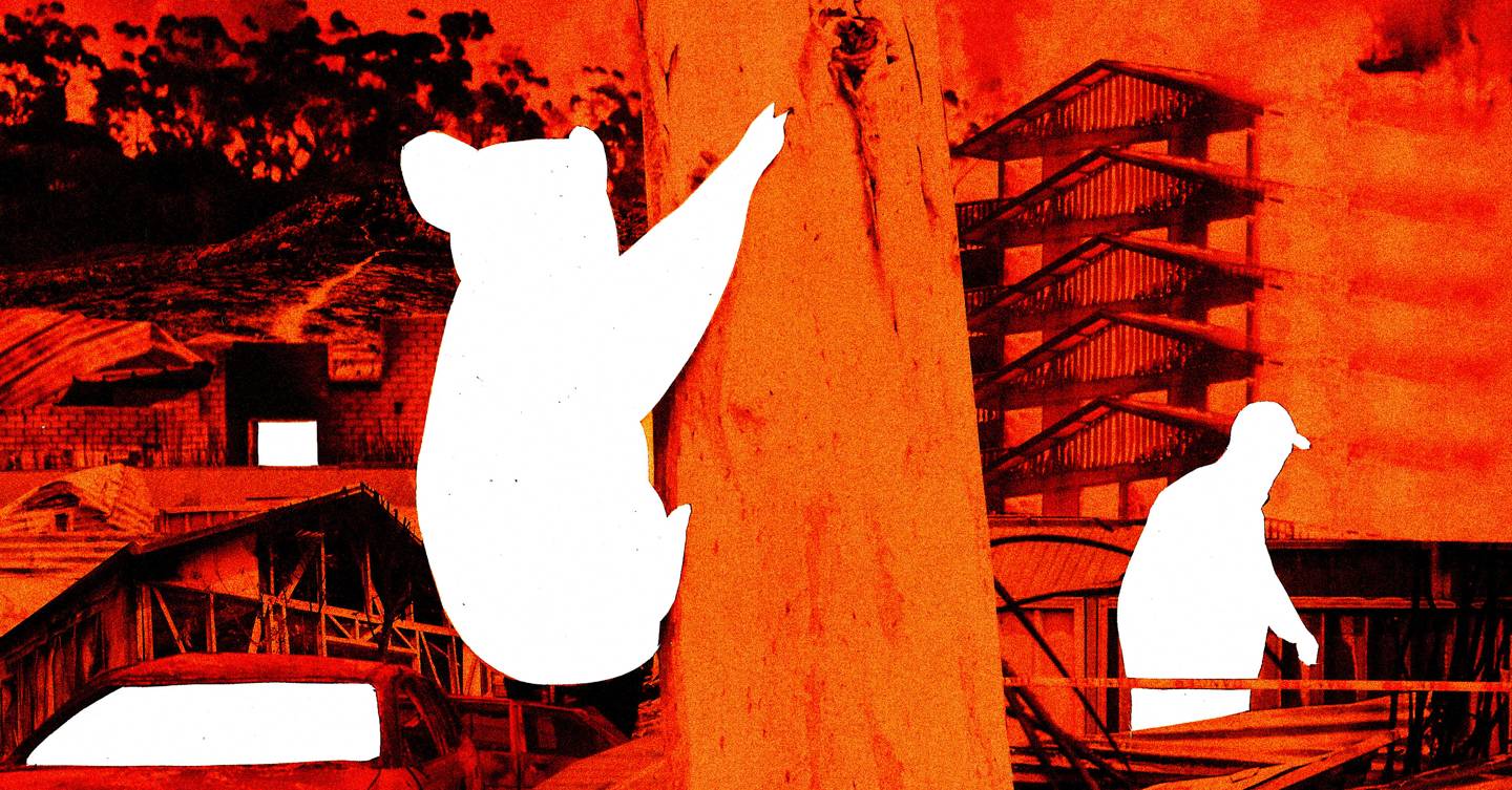 The day Australia burned