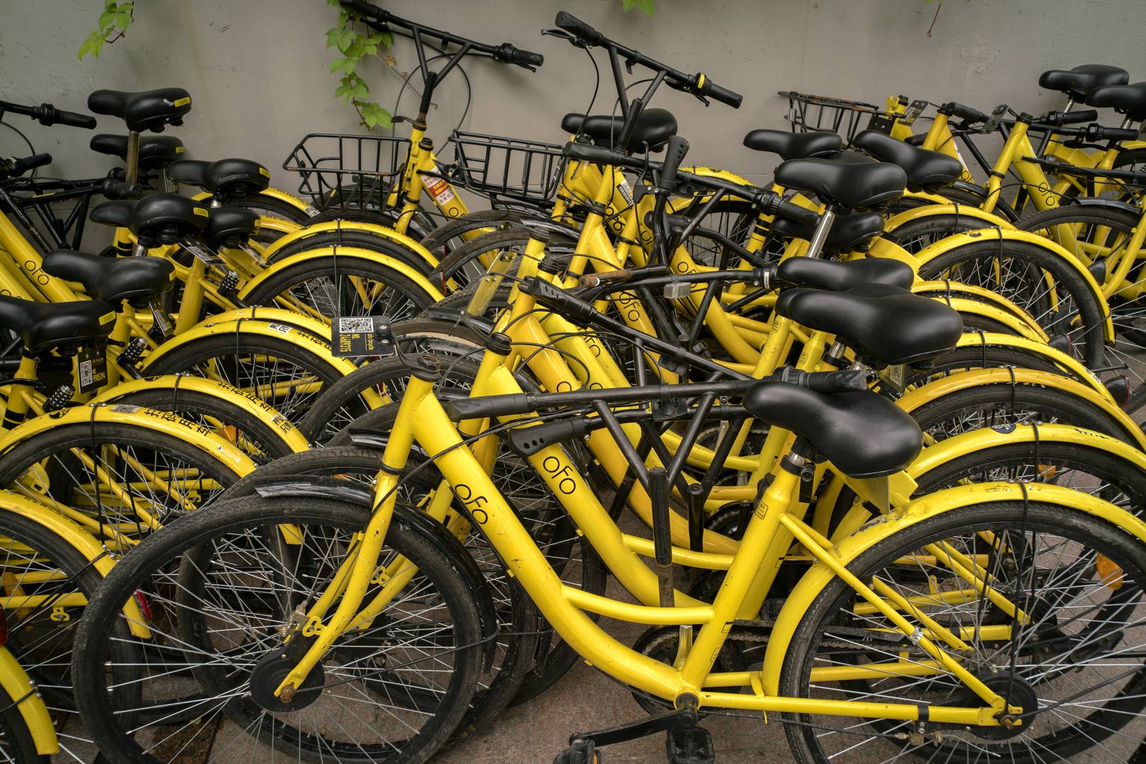 Ofo is bringing its dockless bike sharing tech to London