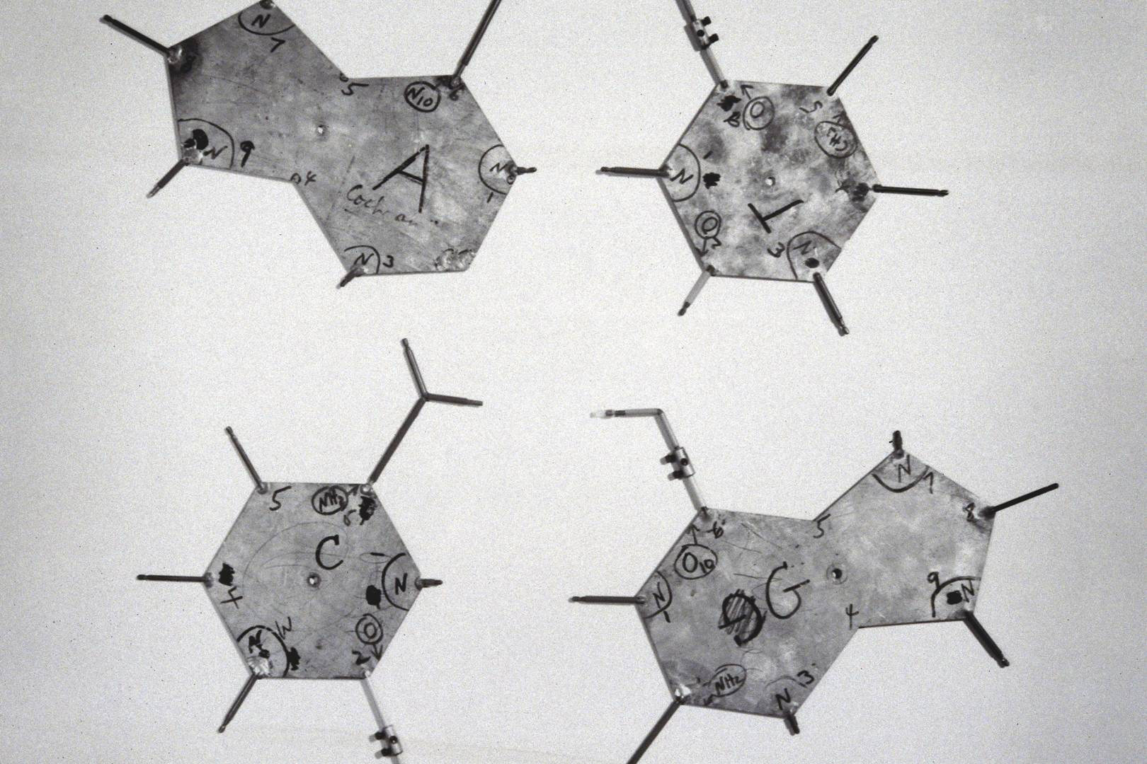 18 new genes have been linked to autism spectrum disorder