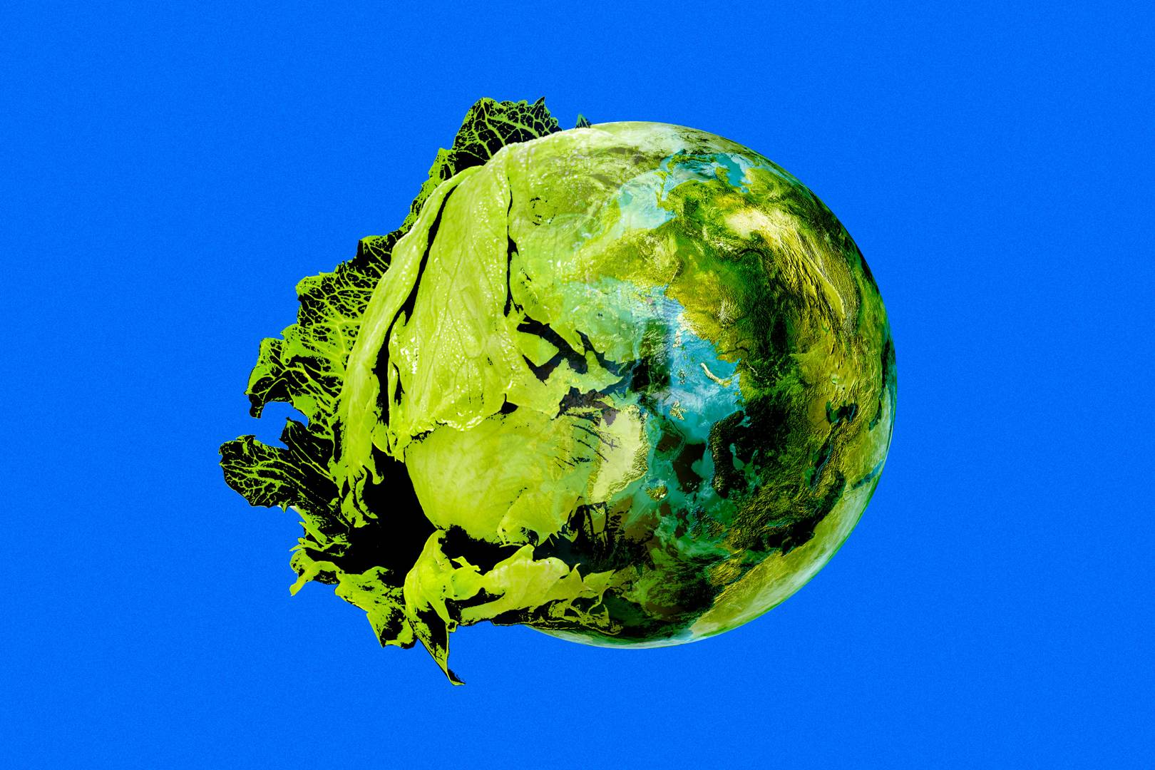 How does going vegan help save the planet? Here are the facts