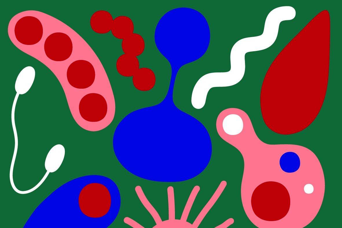 How weather forecasts could help develop 'designer' drugs personalised to your illness