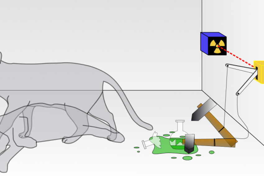 Physicists 'breed' largest ever Schrödinger's cat – and it could help unlock the quantum world