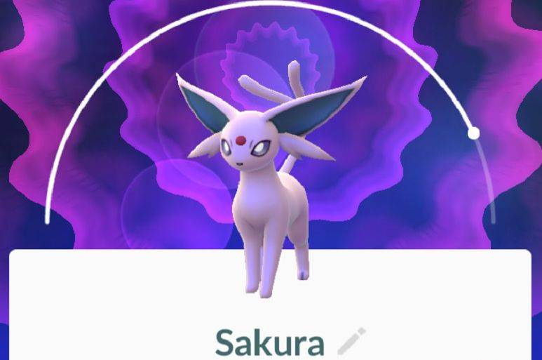 How to evolve Eeeve into Epseon, Umbreon, Jolteon, Flareon and Vaporeon