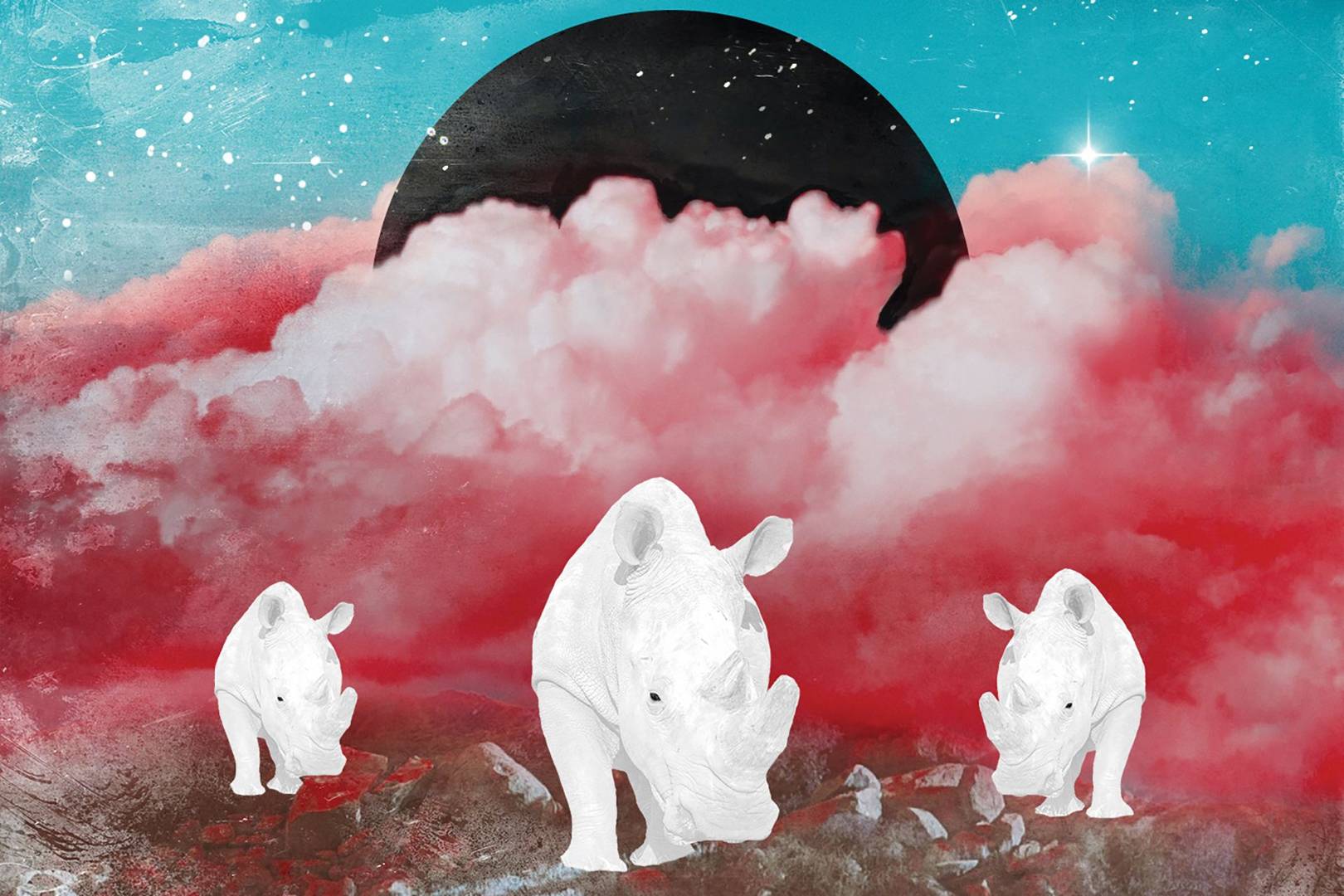 Genetic engineering could bring the northern white rhino back from extinction