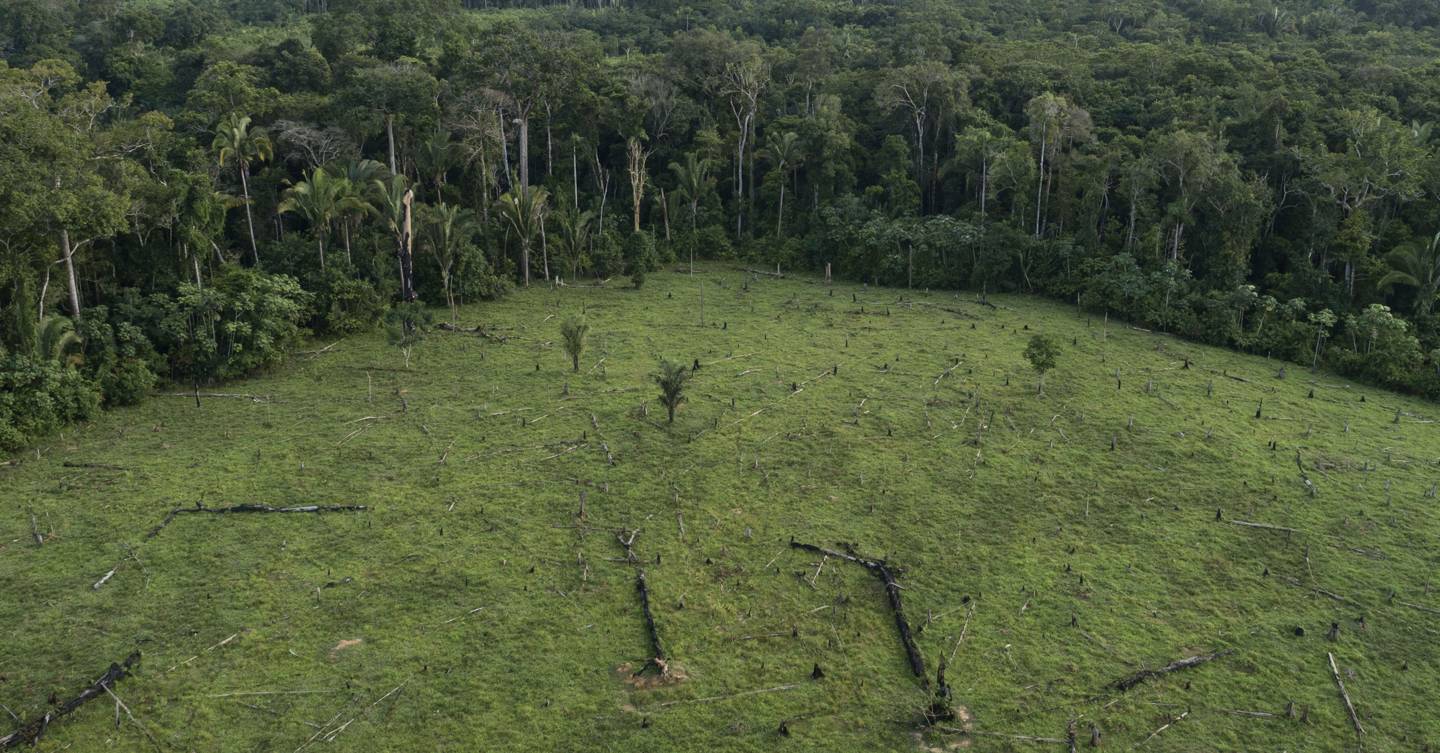 How Satellite Sleuths Are Helping To Save The Amazon Rainforest From Destruction Wired Uk