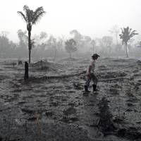 Brazilian Amazon Fires August 2019