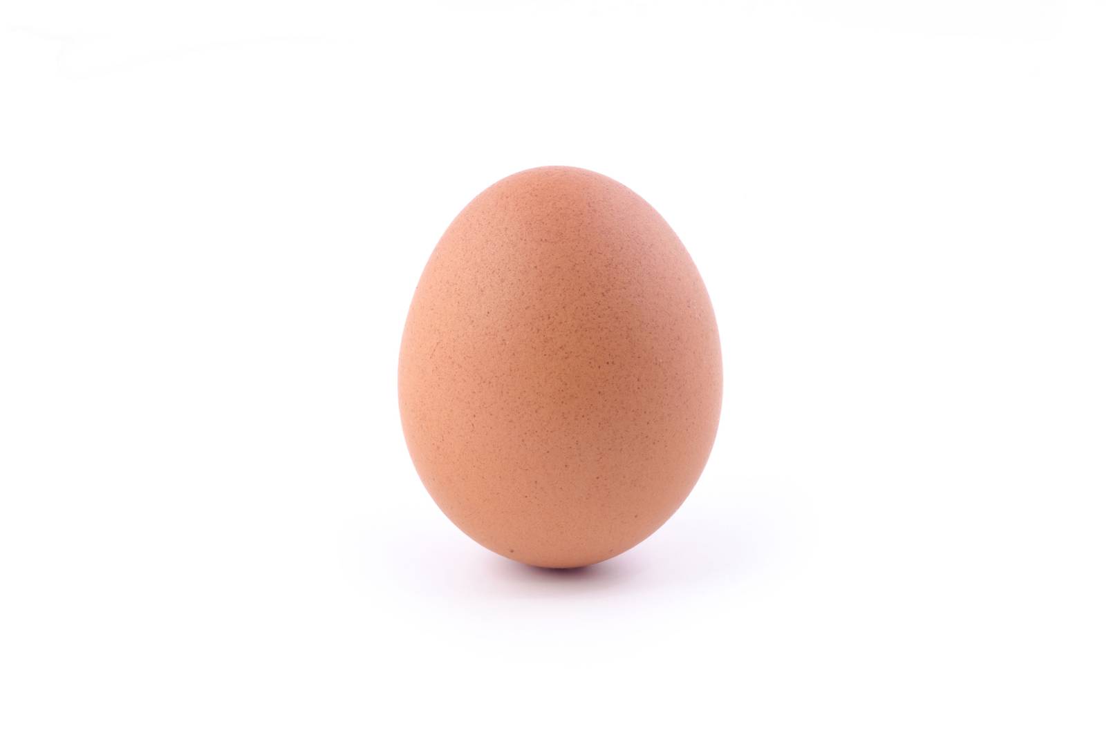 Why Instagram's world record egg is the last of a dying breed
