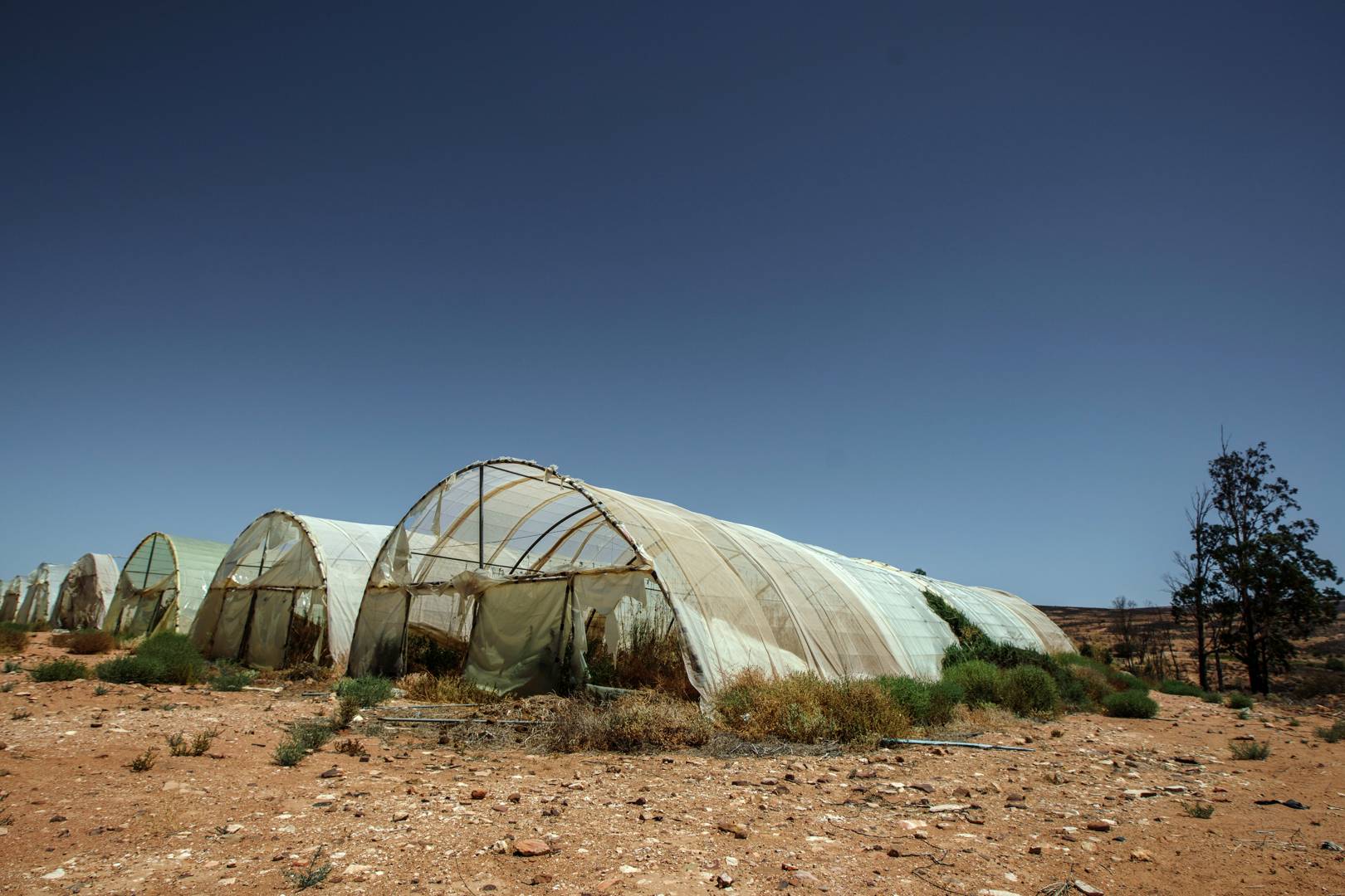 Monday briefing: World leaders must act now to prevent imminent 1.5 degree temperature increase
