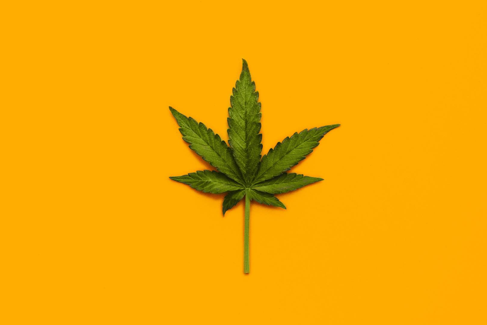 UK doctors can now prescribe weed. But you probably won't get it