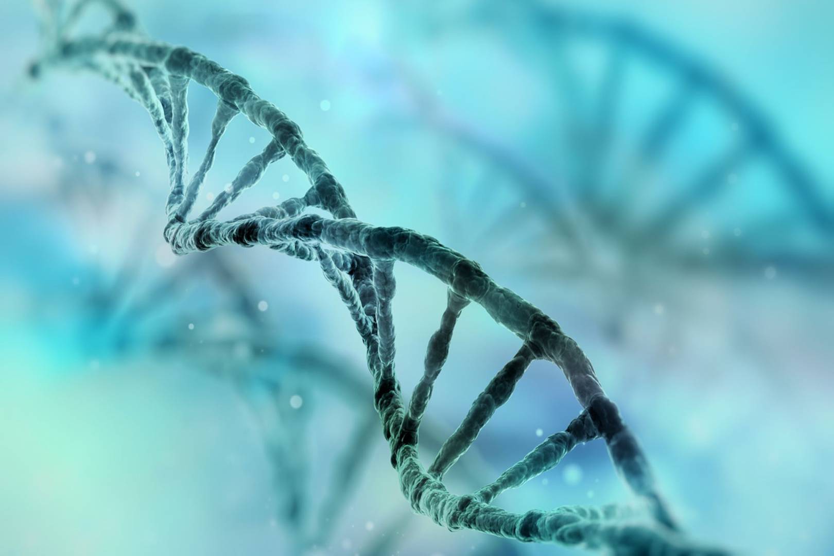 These lifeforms have been 'created' using the world's first stable six-letter DNA code