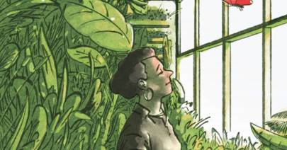 Harnessing the hidden powers of plants could help fix the climate - Vimarsana News