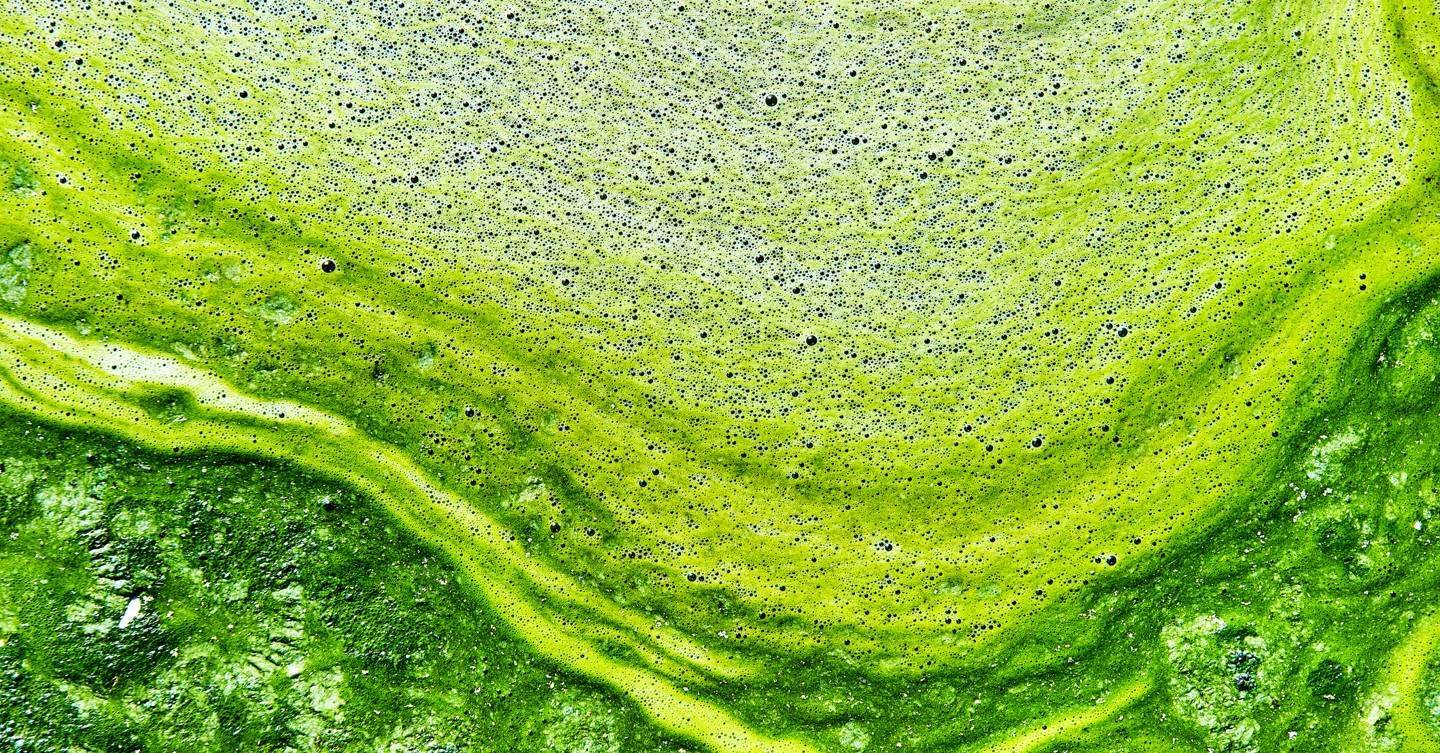 Clever space algae could be the key to getting humans to Mars WIRED UK