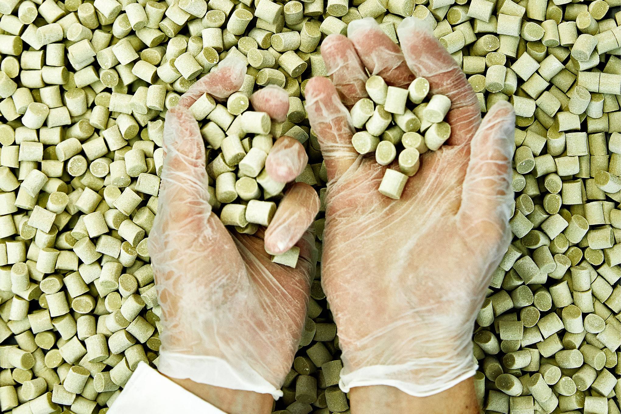 wired.co.uk - Chris Stokel-Walker - Biodegradable chewing gum is here to save our pavements