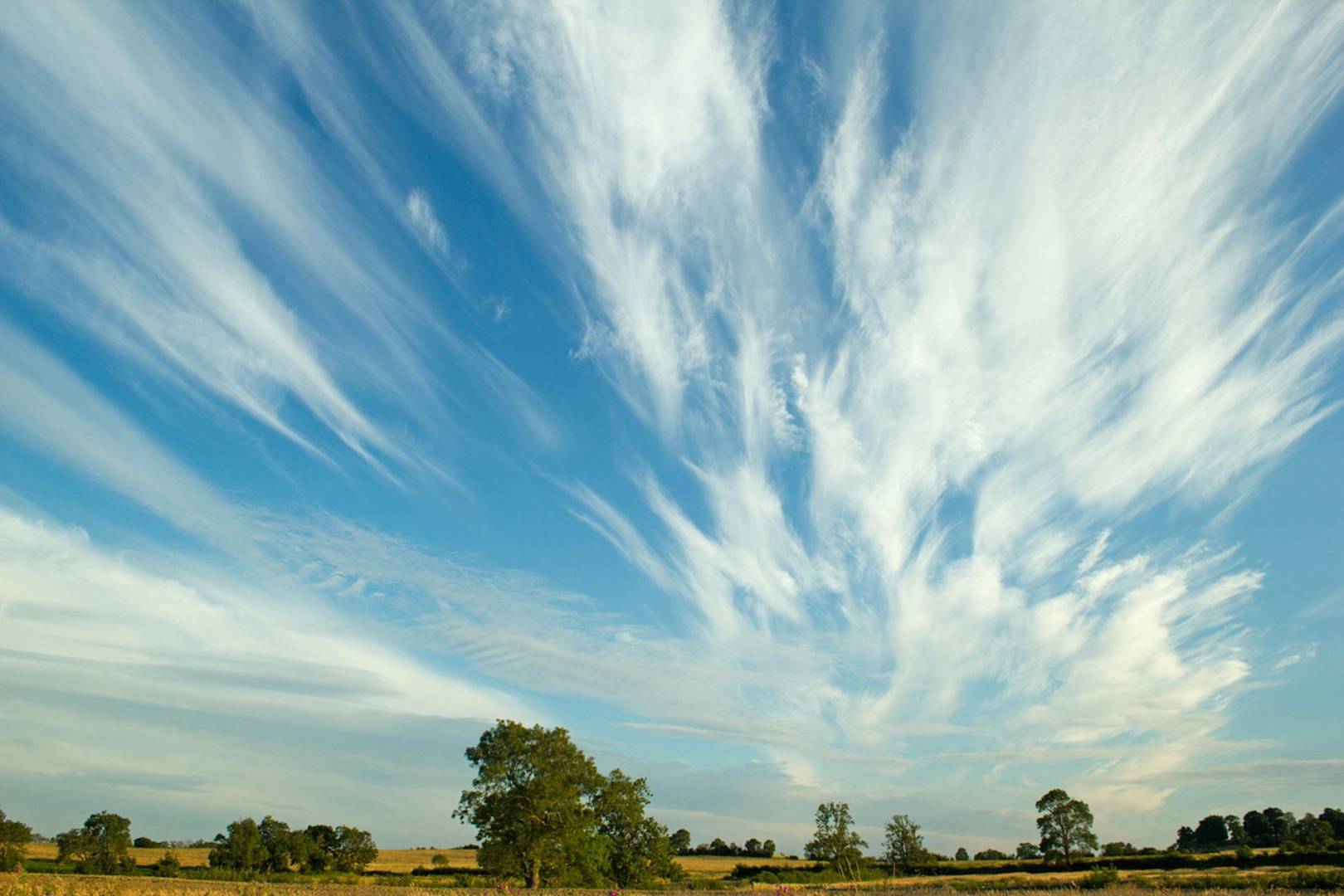 How clouds form: watch a timelapse of a cirrus cloud being 'born'