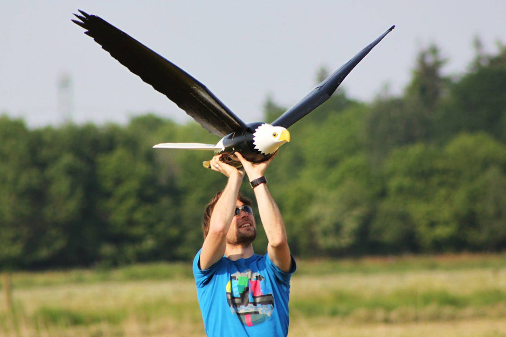 remote control flying bird with flapping wings