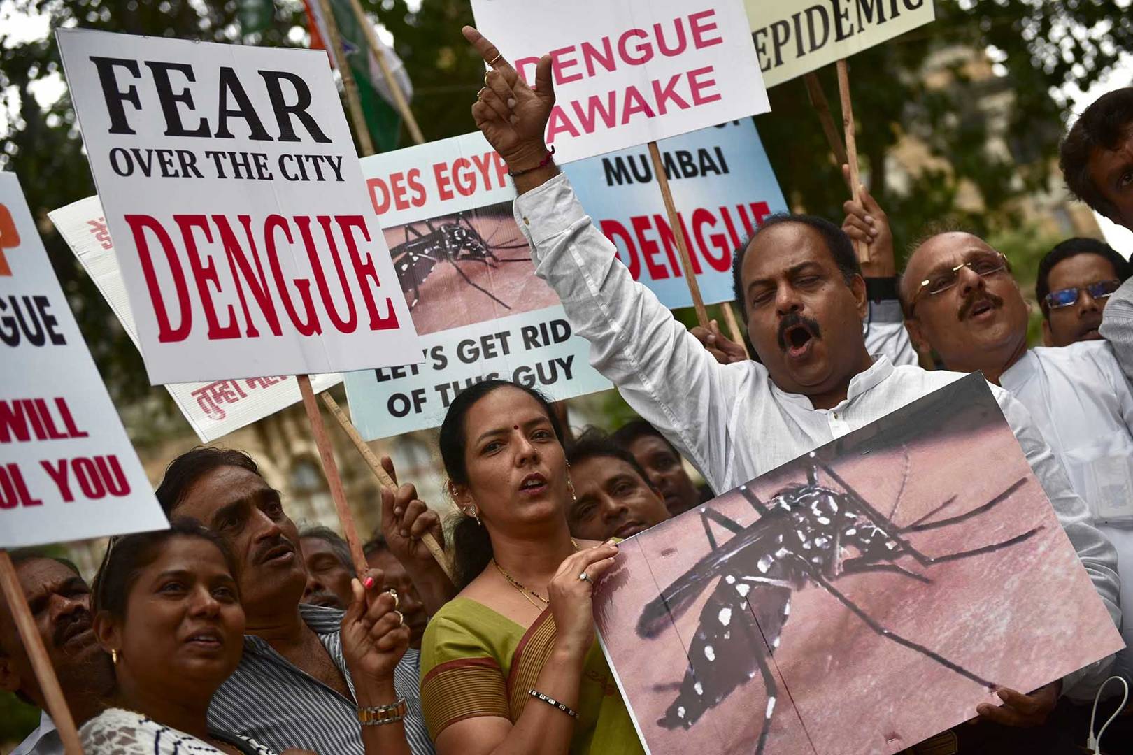 Prior exposure to Dengue virus could make Zika more lethal