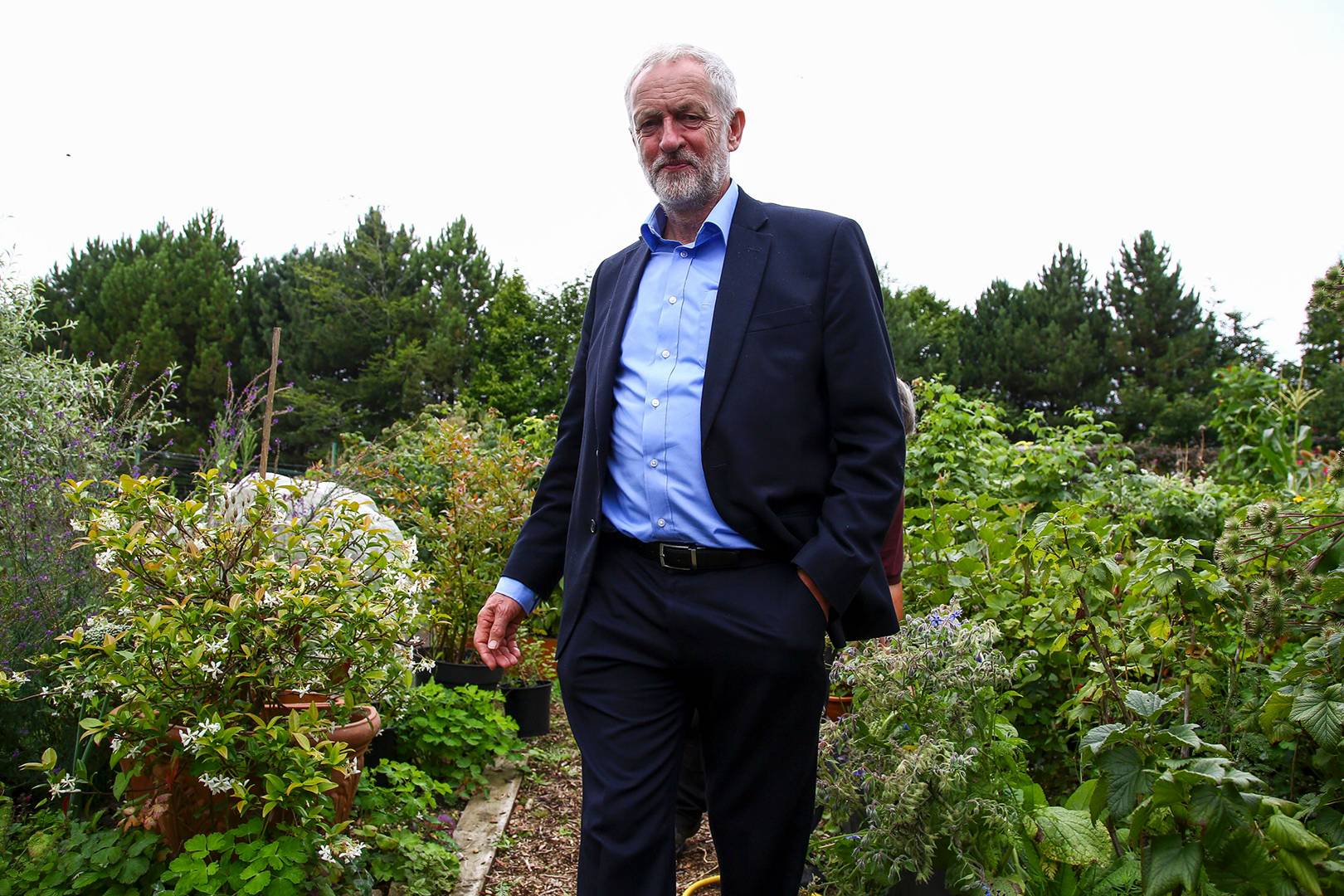 This is how the UK could actually go carbon neutral by 2050