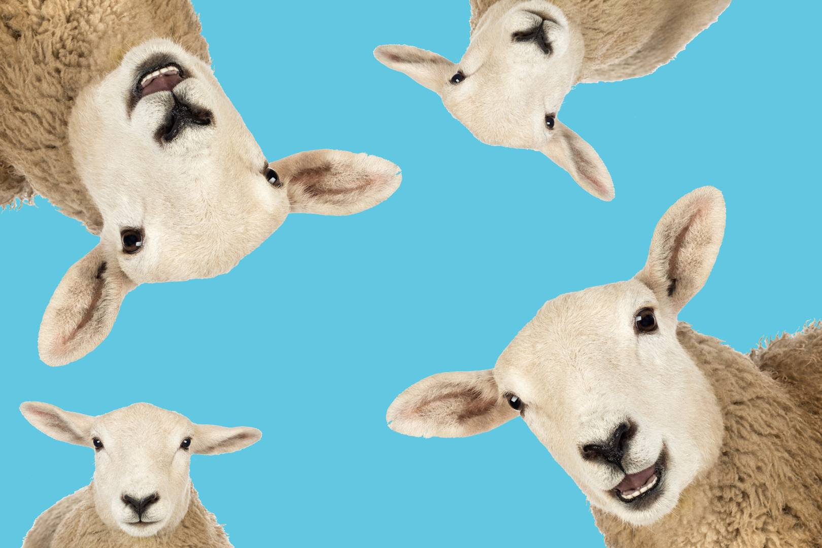 Sleep tech is booming – but it's getting weirder and dodgier