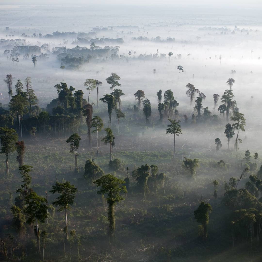 Image: An area the size of Wales? It's time to rethink how we talk about the impacts of climate change