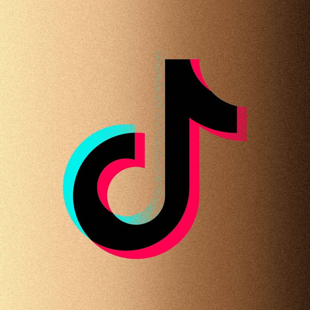 Image: Why is TikTok creating filter bubbles based on your race?