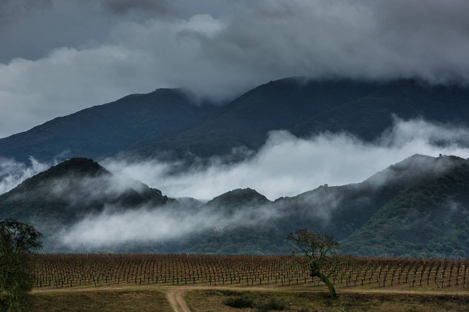 El Niño and climate change blamed for the spread of the devastating Zika virus