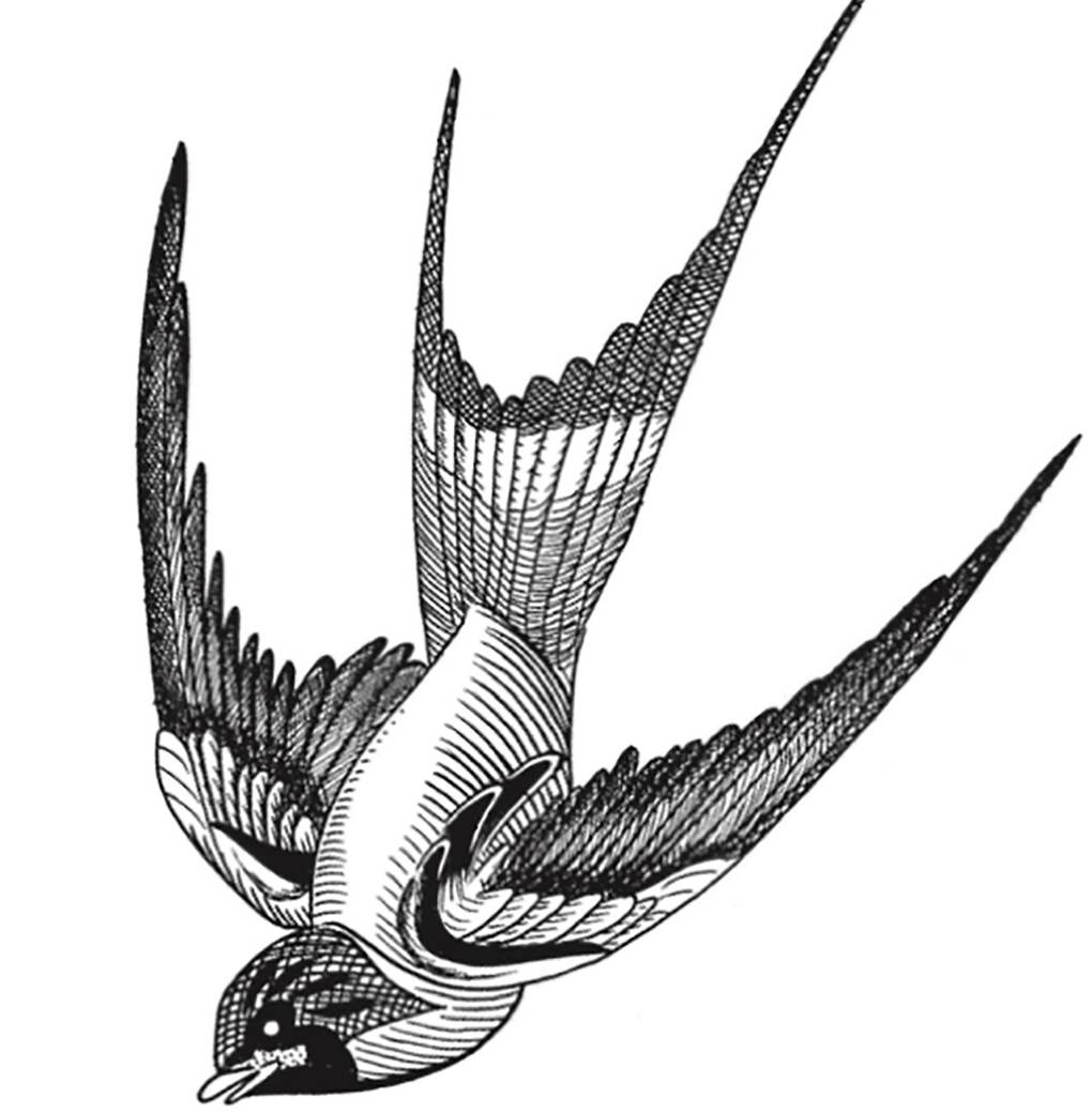 What Do Your Tattoos Really Mean The Secret Messages Hidden