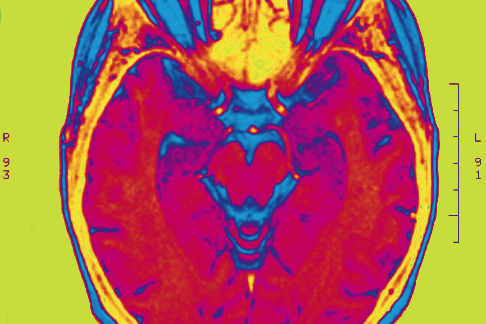 Your brain doesn’t contain memories. It is memories