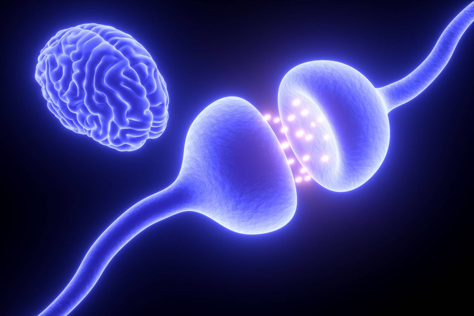 How hibernating animals are helping doctors treat diabetes and Alzheimer's