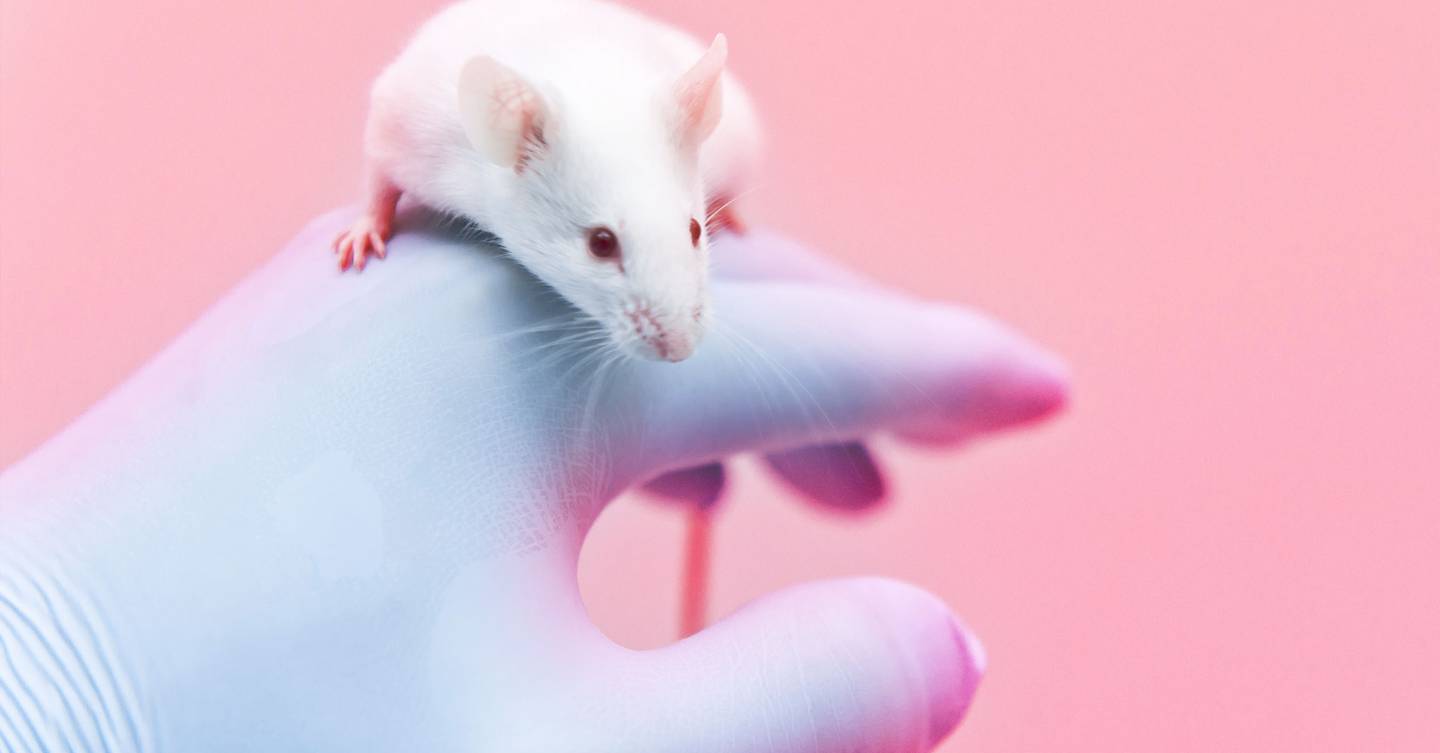 Is the UK finally turning its back on mouse testing? It's complicated ...