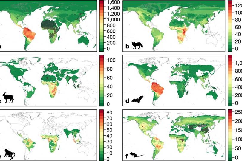 Virus map predicts areas of future outbreaks  WIRED UK