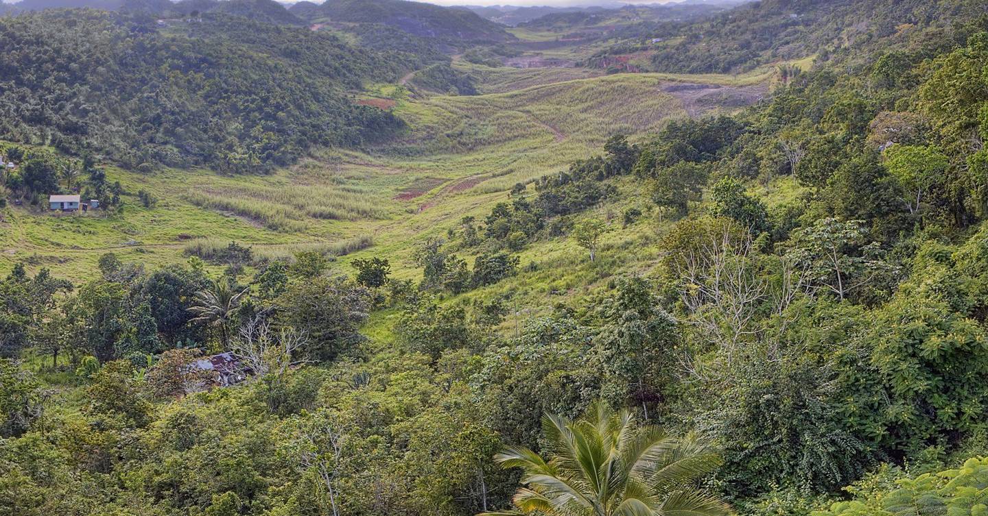 Rare earth minerals found in abundance in Jamaican mud WIRED UK