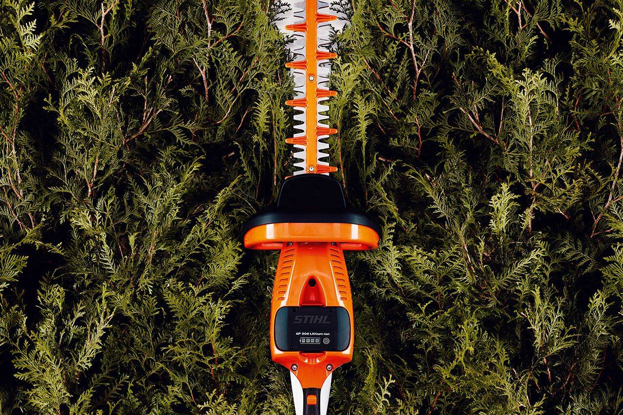 The best hedge trimmers are put to the test by TV gardener Matthew Wilson